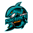 roller hockey Antony