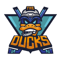 roller hockey Mouilleron